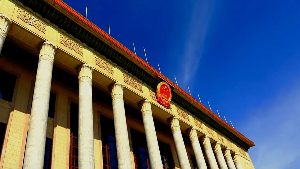 2024两会，残疾人相关提案议案汇总，你所关心的都在这里